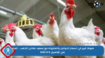 هبوط كبير في أسعار الدواجن والمكرونة مع صعود مفاجئ للذهب.. تعرف على تفاصيل 8-8-2025